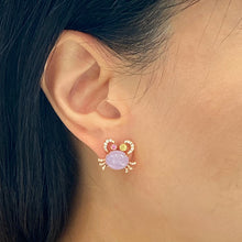 Load image into Gallery viewer, Mountain Crabs