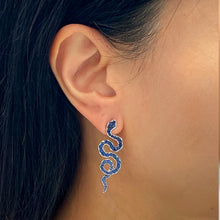 Load image into Gallery viewer, Snakes