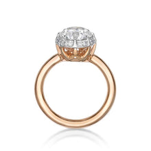 Load image into Gallery viewer, Dynamite